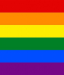 12″x18″Rainbow Flag