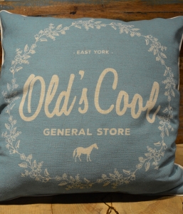East York Map Pillow – Old’s Cool Exclusive