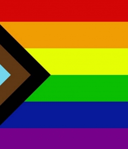 Progress Flag (12″x18″ on a stick)
